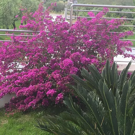 Resort La Collina Dei Colori *