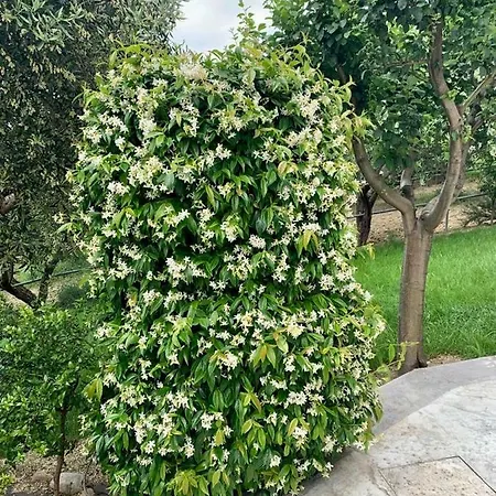 La Collina Dei Colori Vasto