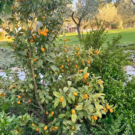 Resort La Collina Dei Colori