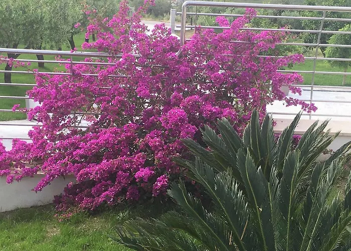 Θέρετρο La Collina Dei Colori *