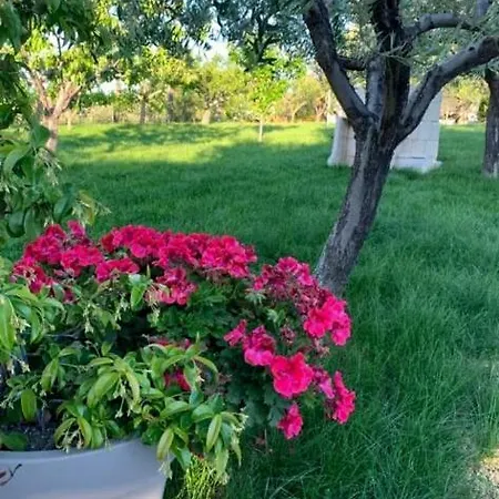 La Collina Dei Colori Θέρετρο *